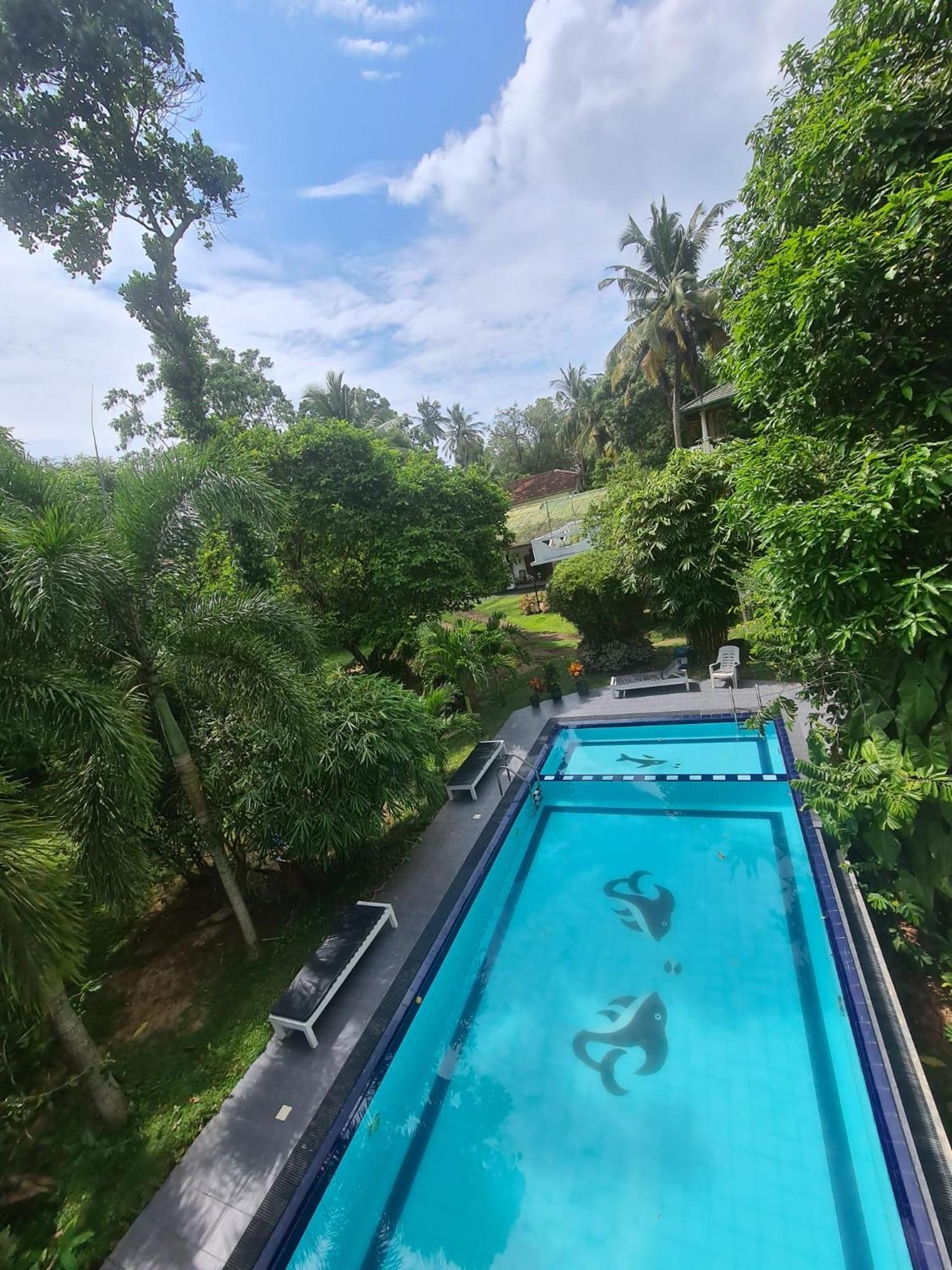 Madoldu Eco Resort Ahangama Eksteriør billede